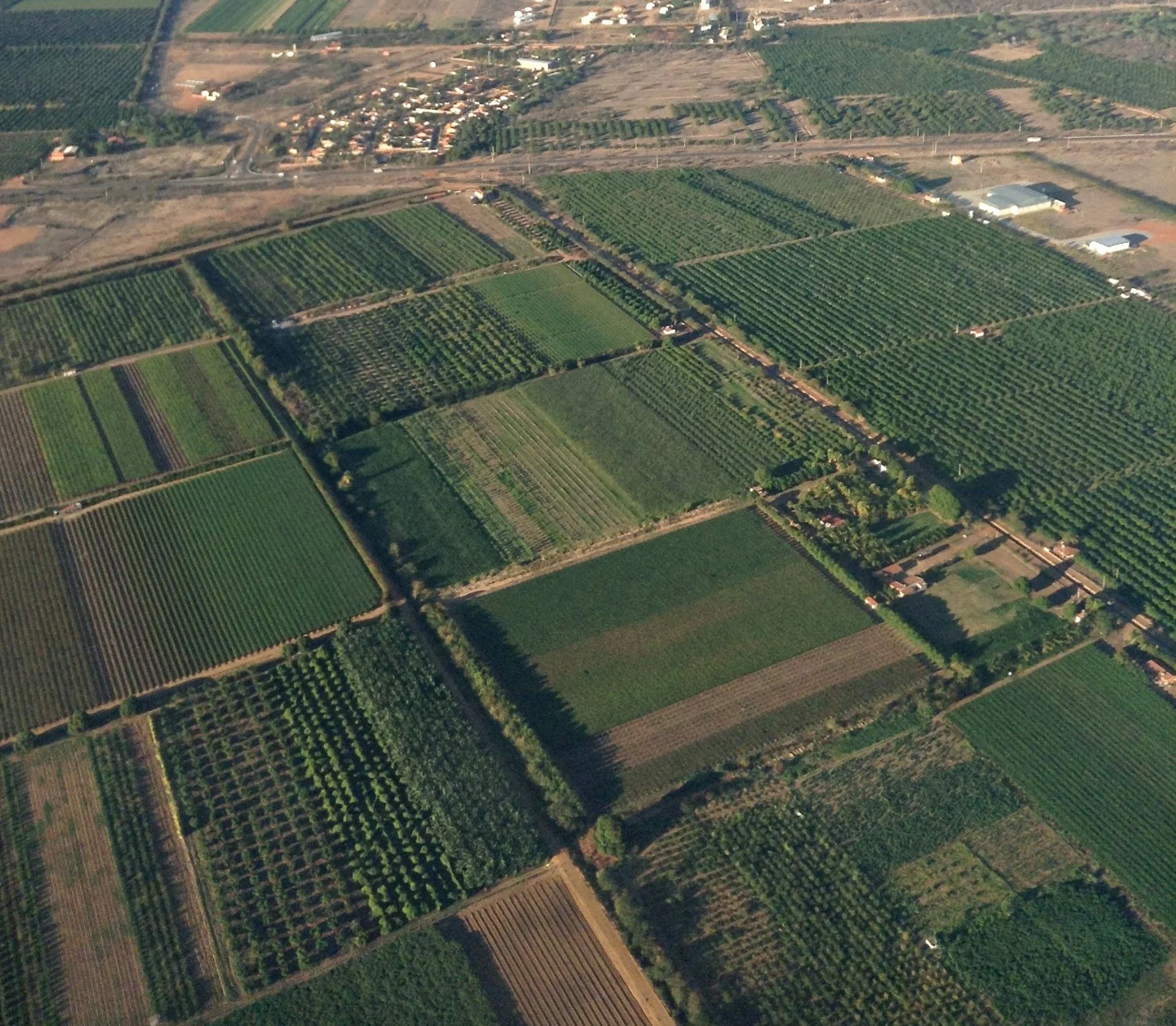 Vista aérea de áreas de fruticultura irrigada em Petrolina